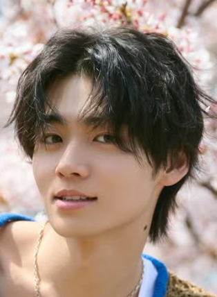 井内悠陽