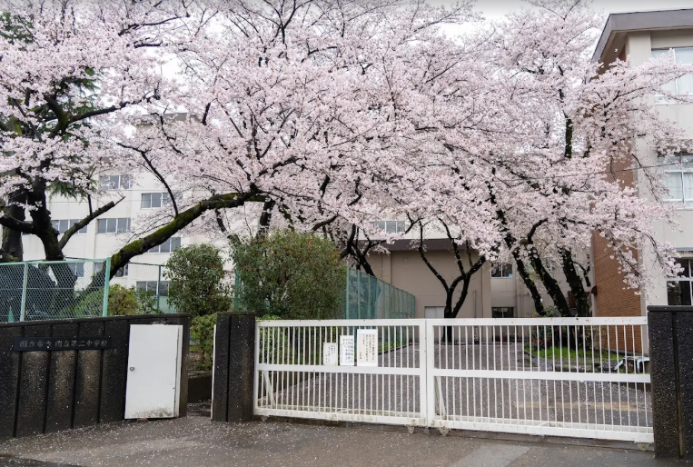 学校